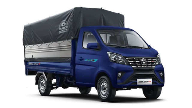 TERA STAR PLUS
